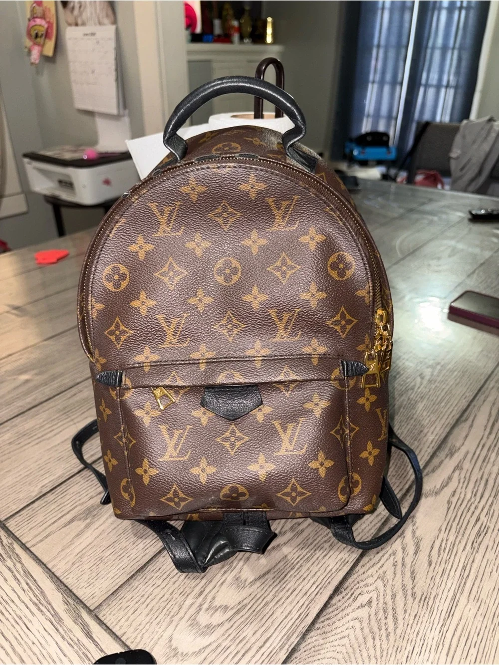Louis Vuitton Palm Springs Backpack - Picture 1 of 13